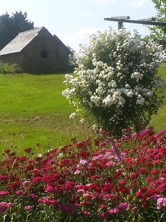 Bed and Breakfast Manoir De La Branche Maen Roch Exterior foto
