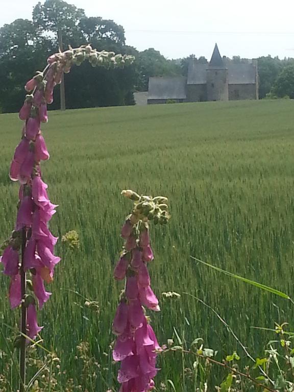 Bed and Breakfast Manoir De La Branche Maen Roch Exterior foto