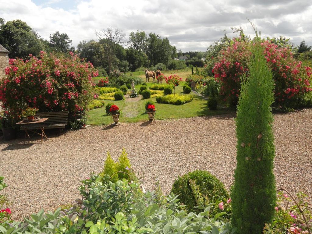 Bed and Breakfast Manoir De La Branche Maen Roch Exterior foto