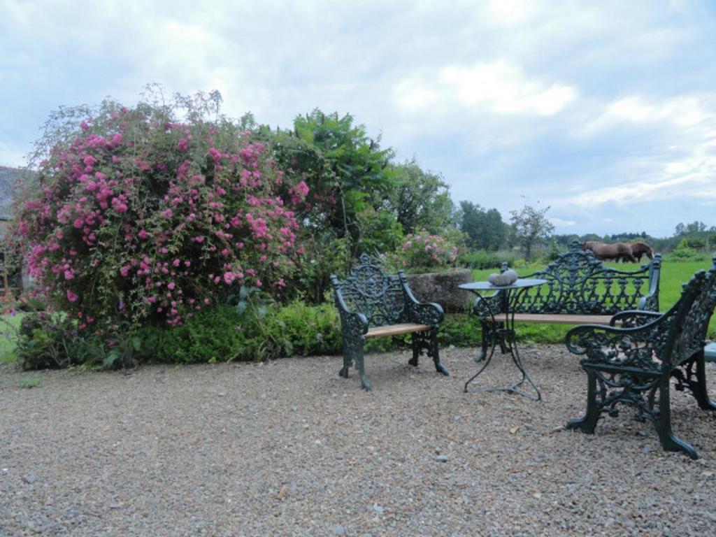 Bed and Breakfast Manoir De La Branche Maen Roch Exterior foto