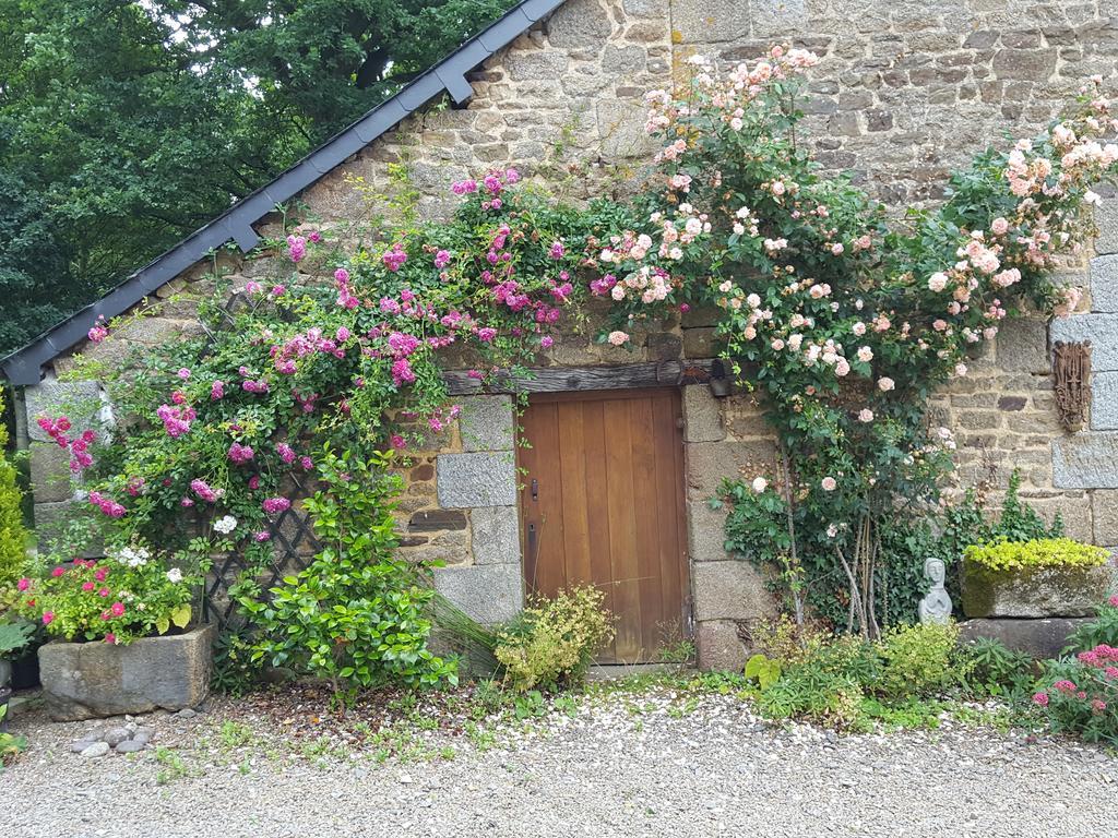 Bed and Breakfast Manoir De La Branche Maen Roch Exterior foto