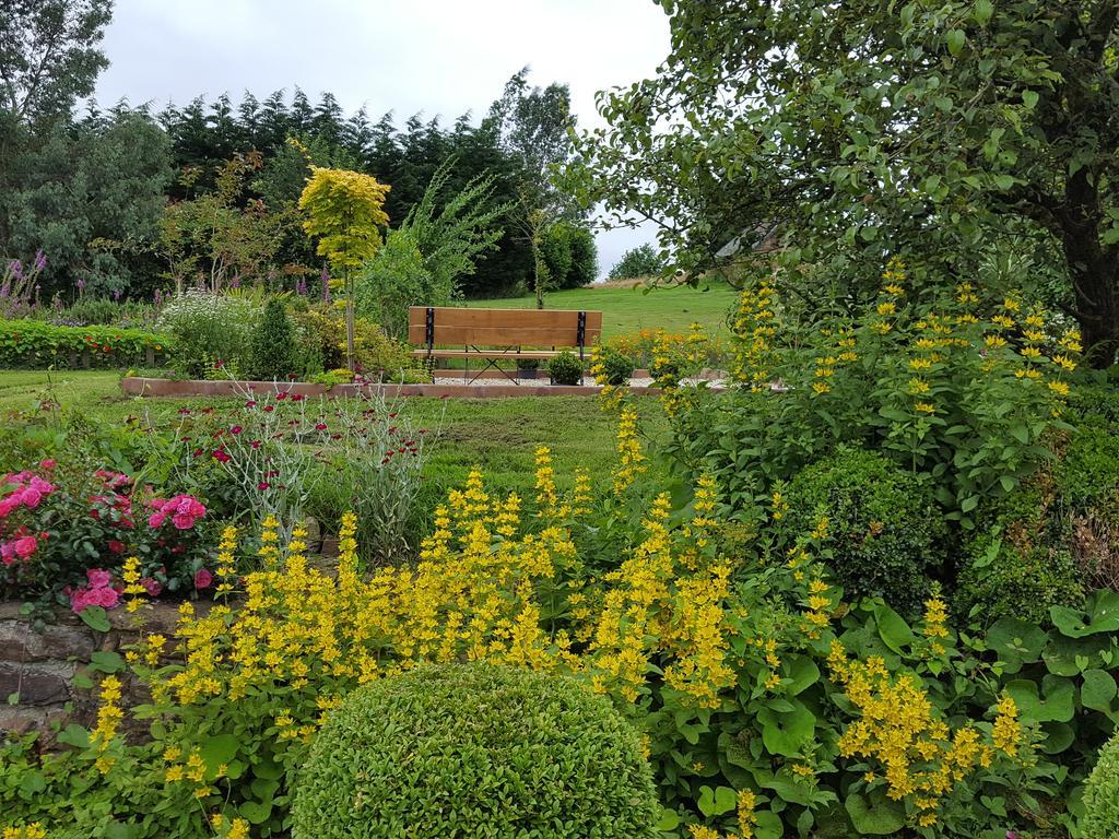 Bed and Breakfast Manoir De La Branche Maen Roch Exterior foto