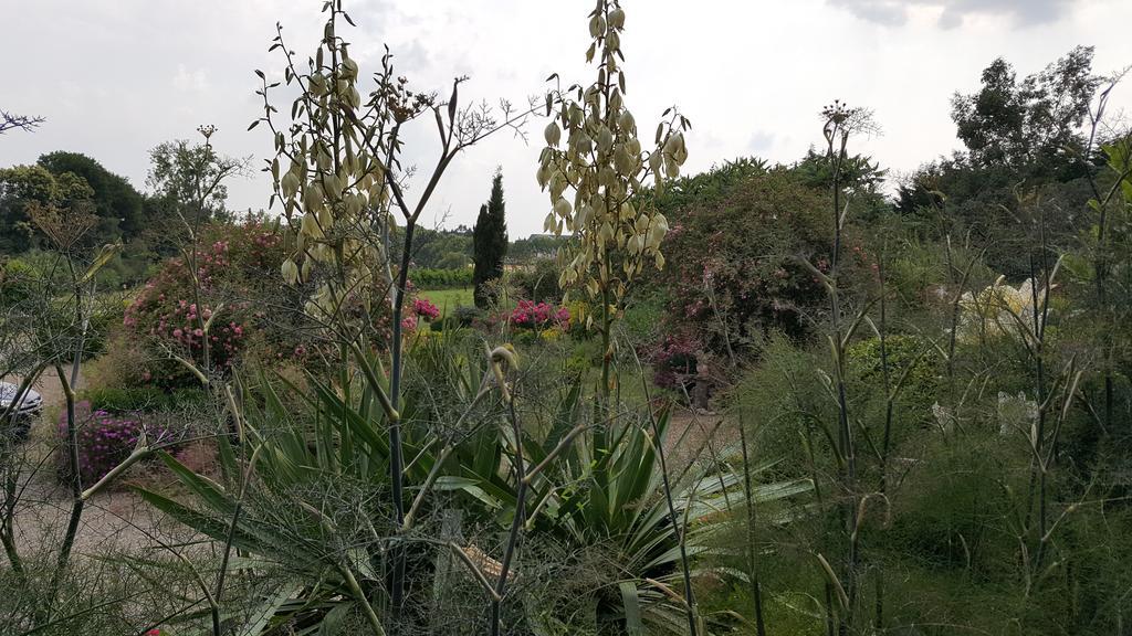 Bed and Breakfast Manoir De La Branche Maen Roch Exterior foto