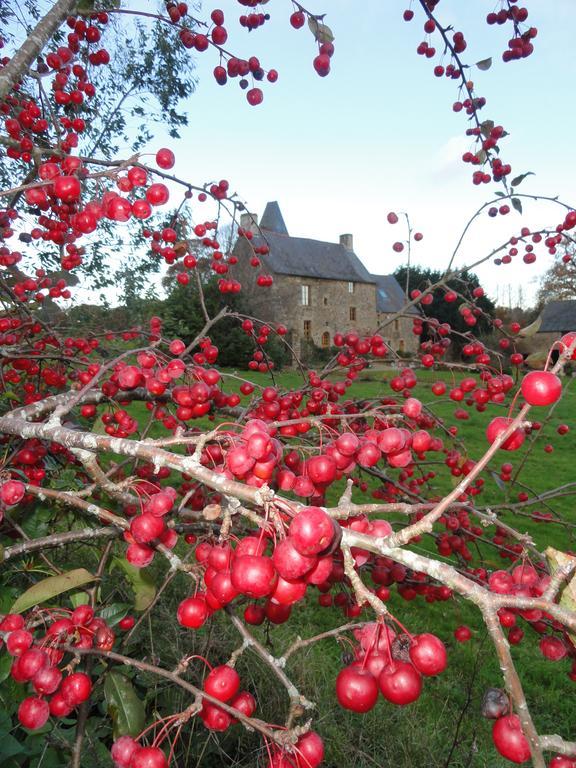 Bed and Breakfast Manoir De La Branche Maen Roch Exterior foto