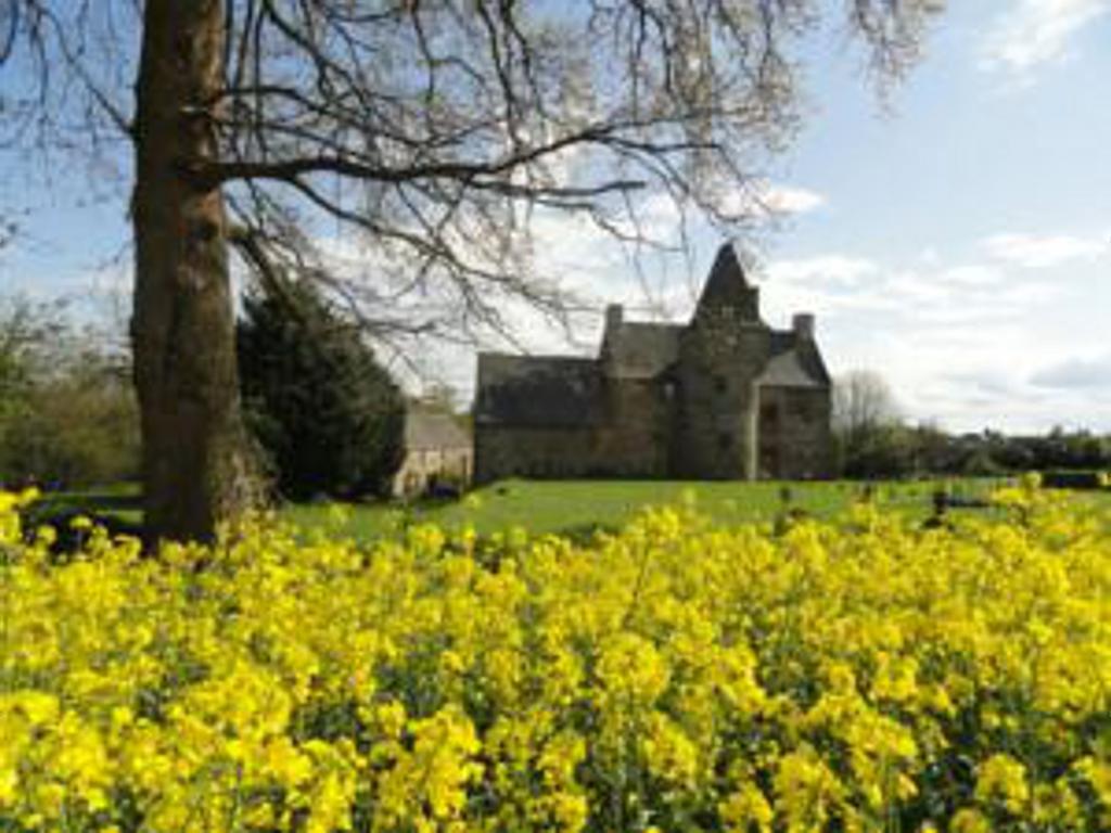 Bed and Breakfast Manoir De La Branche Maen Roch Exterior foto