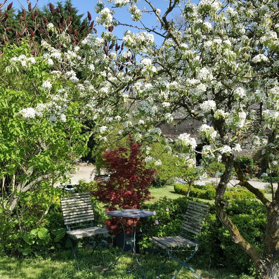 Bed and Breakfast Manoir De La Branche Maen Roch Exterior foto